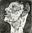 Enlarge photo 182