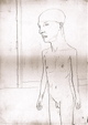 Enlarge photo 199