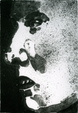Enlarge photo 210