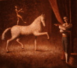 Enlarge photo 106