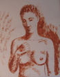 Enlarge photo 115