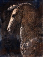 Enlarge photo 155
