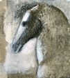 Enlarge photo 157