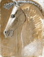 Enlarge photo 159