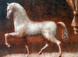 Enlarge photo 163