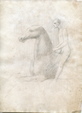 Enlarge photo 239