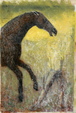 Enlarge photo 351