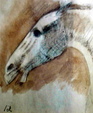 Enlarge photo 92