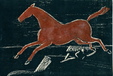 Enlarge photo 205