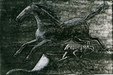 Enlarge photo 206