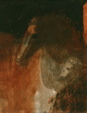 Enlarge photo 215