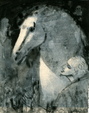 Enlarge photo 216