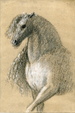 Enlarge photo 219