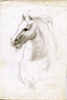 Enlarge photo 220