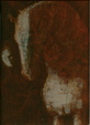 Enlarge photo 222