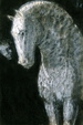 Enlarge photo 223
