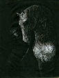 Enlarge photo 238