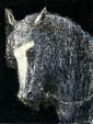 Enlarge photo 252
