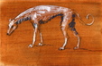Enlarge photo 304