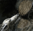 Enlarge photo 316