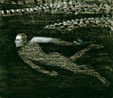 Enlarge photo 39