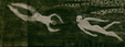 Enlarge photo 41