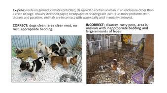 CORRECT AND INCORRECT HOUSING