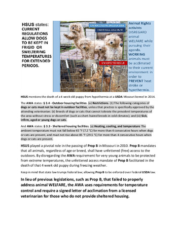 Enlarge PDF 21