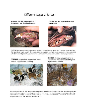 Enlarge PDF 33