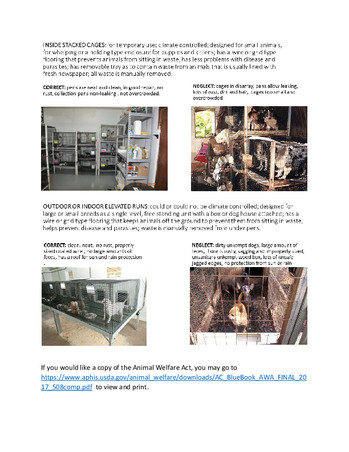 Enlarge PDF 37