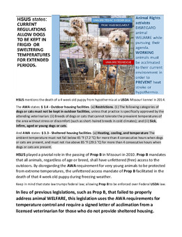 Enlarge PDF 16