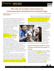 Enlarge PDF 4