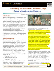 Enlarge PDF 6