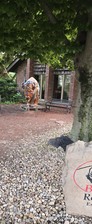 Enlarge photo 36