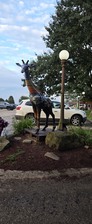 Enlarge photo 37
