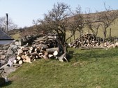 Enlarge photo 2