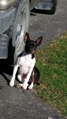 Enlarge photo 12