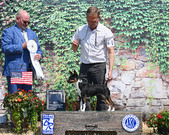 Enlarge photo 6