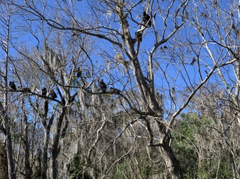 Enlarge photo 23