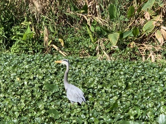Enlarge photo 26