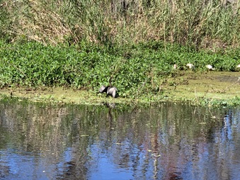 Enlarge photo 34