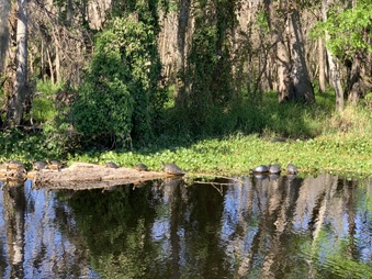 Enlarge photo 39