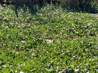 Enlarge photo 44