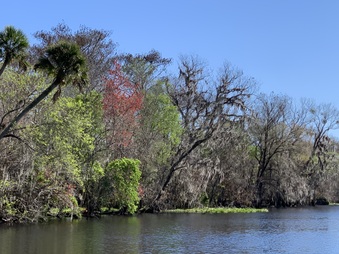 Enlarge photo 45