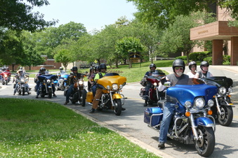 Enlarge photo 254