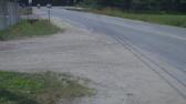Enlarge MPEG4 14