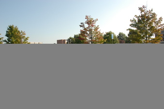 Enlarge photo 1