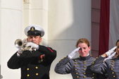 Enlarge photo 459