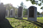 Enlarge photo 204