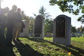 Enlarge photo 205